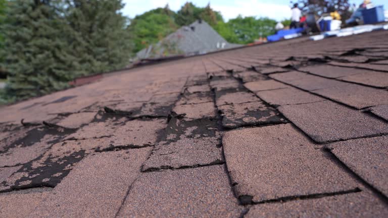 Best Flat Roofing  in St Anthony, MN