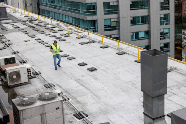 Best Sheet Metal Roofing  in St Anthony, MN