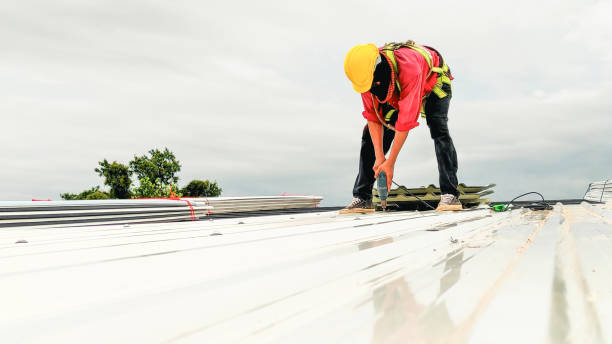 Best Solar Panel Roofing Installation  in St Anthony, MN
