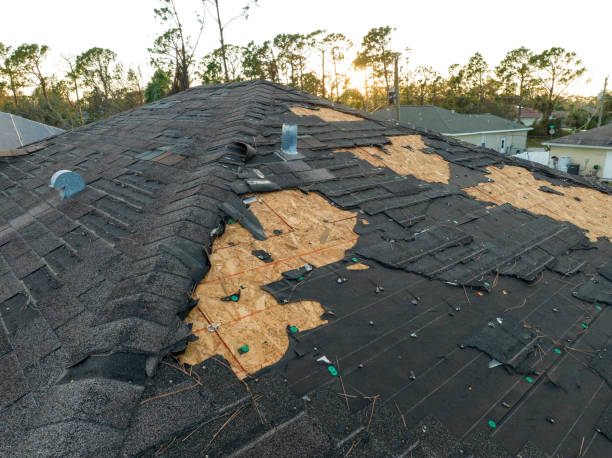 Best Rubber Roofing (EPDM, TPO)  in St Anthony, MN