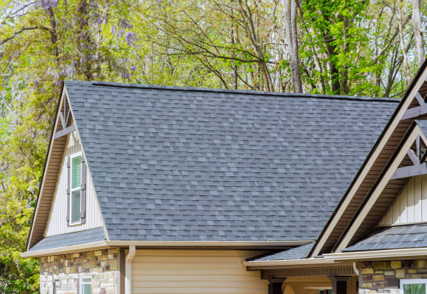 Best Skylight Installation and Repair  in St Anthony, MN